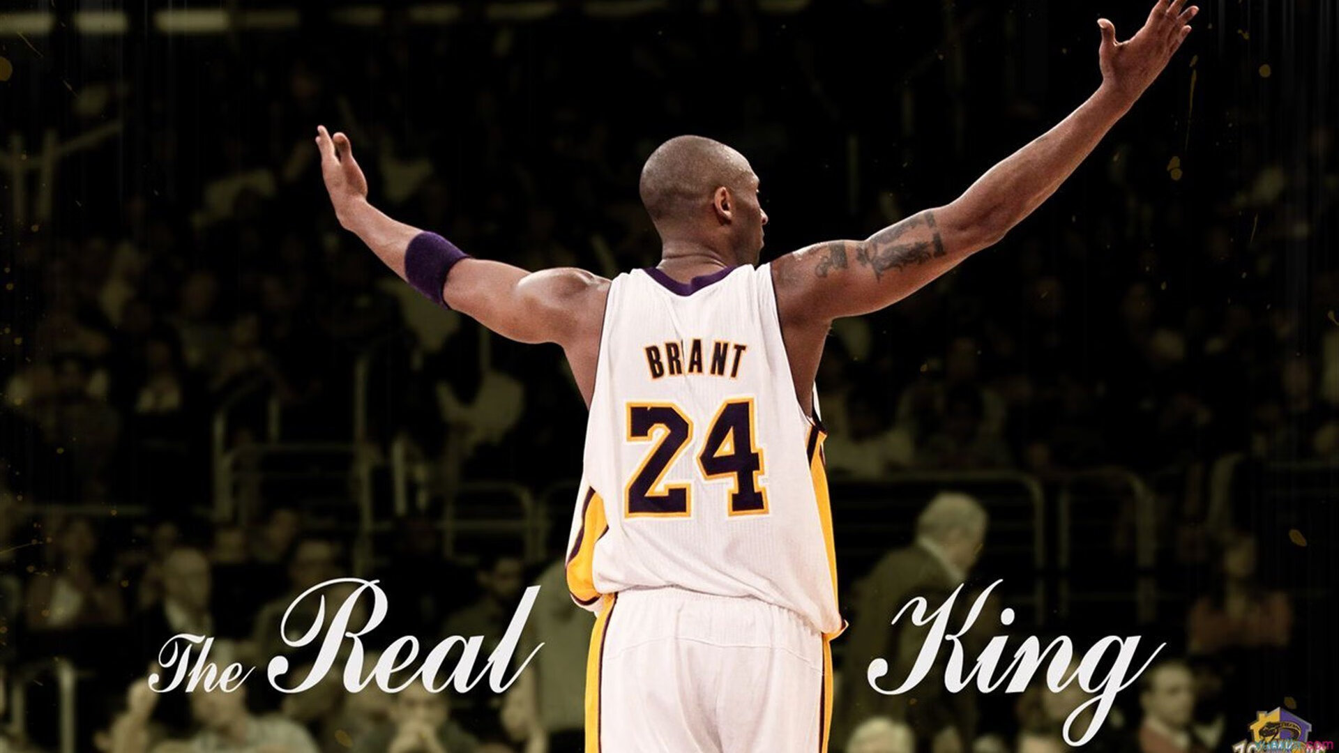 夺冠之路：冠军的成长历程纪录片，回顾夺冠